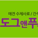 도그앤푸드 이미지