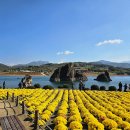 대강면사무소 | 자출사 즈위멤버들과 함께한 단풍라이딩 in단양