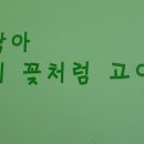 당진을 노래하다 이미지
