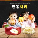 길상농원 이미지