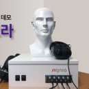보라보청기