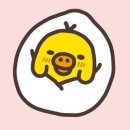 종합수지 이미지