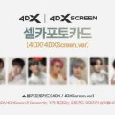 재미드림 이미지