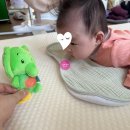 우리가족 은반지 만들기 B반 | 역방쿠추천 * 꿈나라 모빌 * 베이비뵨 바운서 * 아기성장앨범 * 캐논 셀피CP1500 &gt; / B형간염 2차 접종