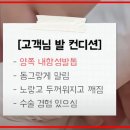 풋풋한리쌤 성수본점 이미지