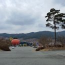 산수유꽃길로 이미지