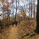 황송공원 이미지