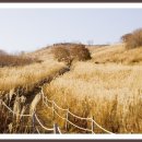 (주)목동여행사 이미지