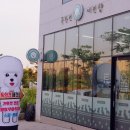 독한견 네이버블로그