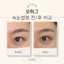 오하 | 군자 속눈썹펌 유목민 정착 | 오하그 7번째 방문 후기, 유지력 만족한 곳