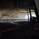 지곡초교 삼거리 이미지