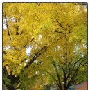 마로니에공원 화장실 이미지