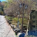 황령산 벚꽃약수터 네이버블로그