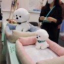 팔팔에스티 | 2021일산K펫페어 후기 & 팁 킨텍스 주차