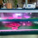 도리산암소한마리형곡점 이미지