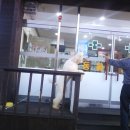 어정동물병원 이미지