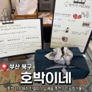 호박이네 | 명절 선물/답례품 <호박이네> 호박 카스테라 인절미 내돈내산 후기
