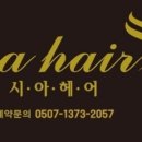시아헤어 네이버블로그