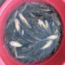 북천공설시장 이미지