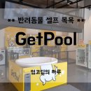 겟풀(GETPOOL) | 24시간 무인 반려견 셀프목욕공간 '겟풀getpool' 솔직이용후기!