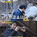 시영목장 이미지