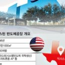 뉴욕미나리