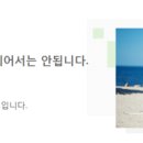 위드퍼피 이미지