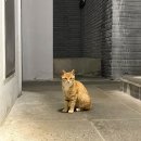 JH풀하우스 | [JH 풀빌라] ::가평여행:: 1박2일 우정여행 풀빌라 펜션 후기