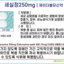 세실약국 이미지