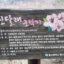 진달래약수터 이미지