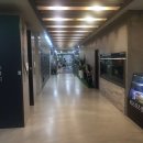 KS스포츠센타 | 북수원 최고의 골프 &amp; 헬스 센터, KS스포츠센터!