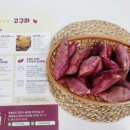 민정농장 이미지