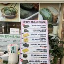 박순석찹쌀떡 | [강화도 맛집] 한국인의 밥상 출연! 쫀득함의 끝판왕 '박순석 찹쌀떡' 솔직 후기