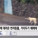 웰씨코리아 이미지