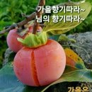 향단이님 9월3일 영상 ( 혜화동4k 감독님 영상입니다 ) 거기까지만 . 니나노 . 지푸라기 등 이미지