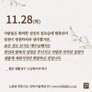 2023/11/28/연중 제34주간 화요일 이미지