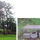 소담교차로 이미지