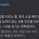 머글머글