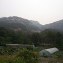 선림2농장 네이버블로그