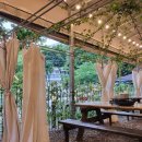 신털뫼1 | 0817 장흥유원지 신털뫼