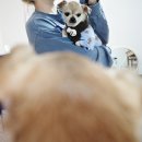 댕숲 | 댕숲 강아지 옷, 강아지 목도리, 강아지 후리스 후기🐶