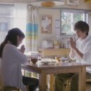 식물도감 이미지