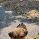 정읍시 신태인읍 화호 보건진료소 이미지