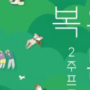 고마온GOMAON 이미지