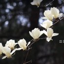 행복가득 이미지