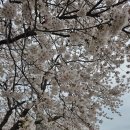 CU서산해미읍성점 | 서산 해미맛집으로 추천하는 마시타라멘&amp;초밥 해미읍성점