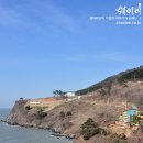 동백쉐이리 이미지