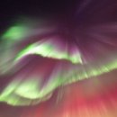 오로라 캣 이미지