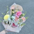 니니플레르