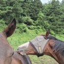 근성목장 이미지